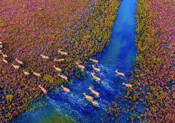 WechatIMG4701.jpeg WechatIMG4701.jpeg